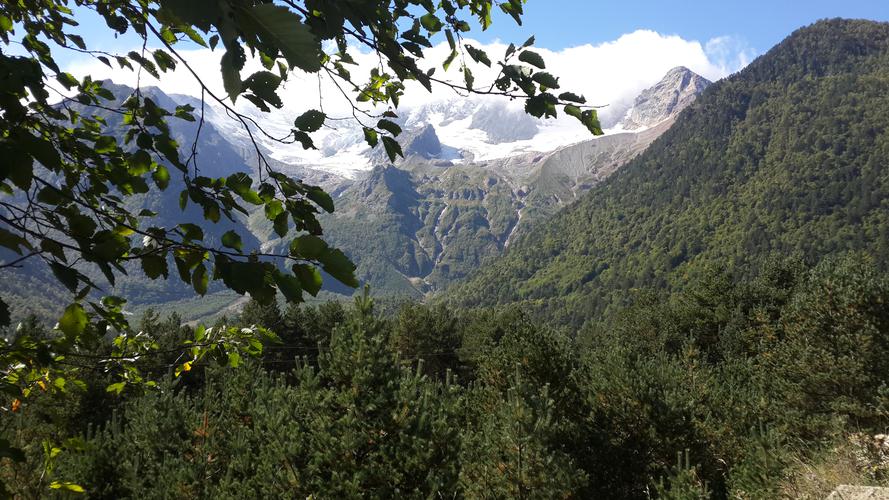 Каменная летопись