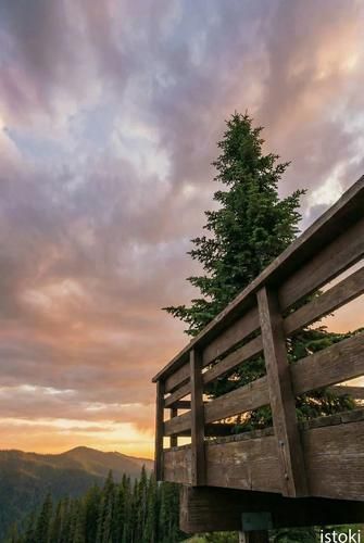 Дух Алтая: знакомство с древней землёй