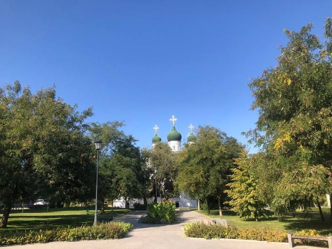 Цветение маков в Астрахани — море красного в сердце степи