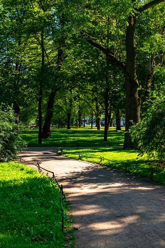 В Петербург - недорого! (со вторника 5 дней)