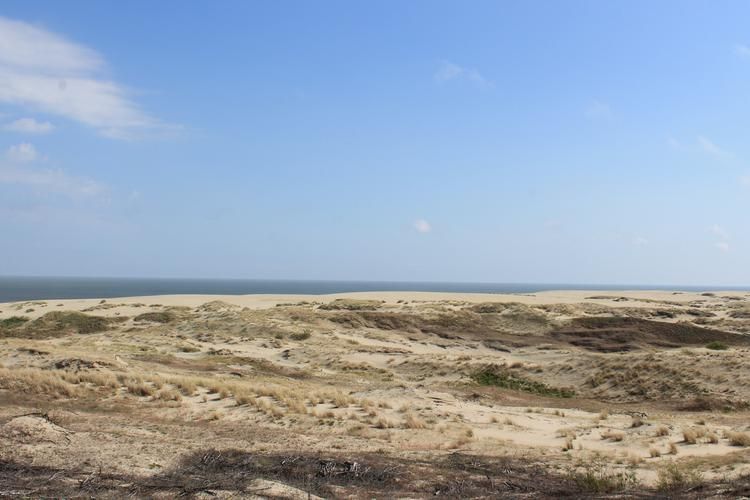 Нессельбек — ваш личный королевский уголок