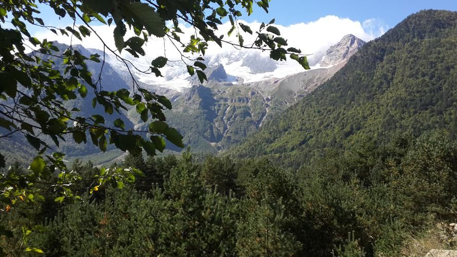 Каменная летопись