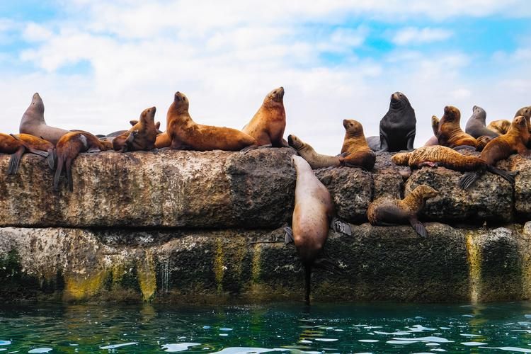 Сахалин и Кунашир: приключение на краю земли