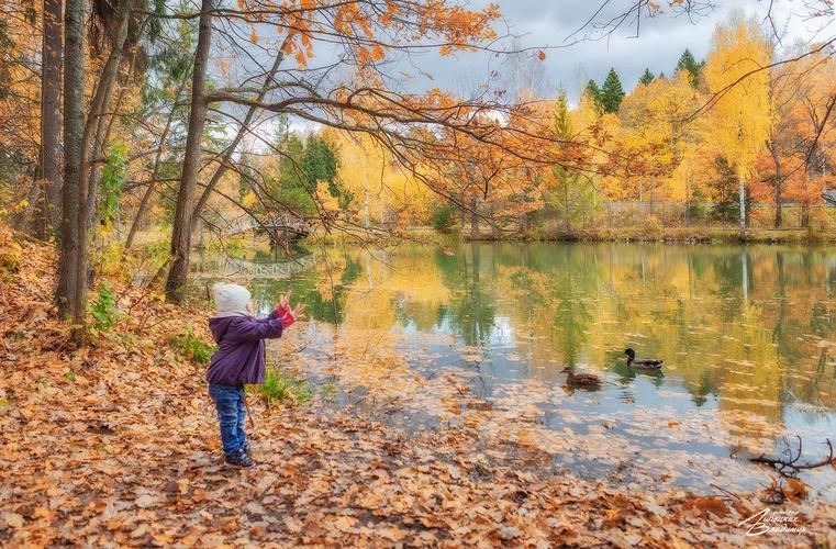 Мастеровая Русь: учимся ремёслам и искусству