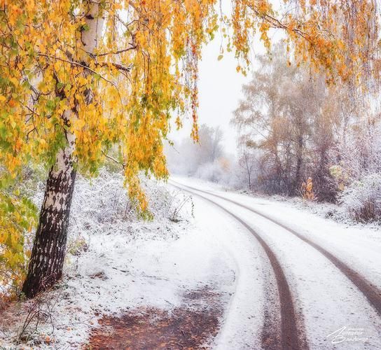 Новогодний фейерверк впечатлений