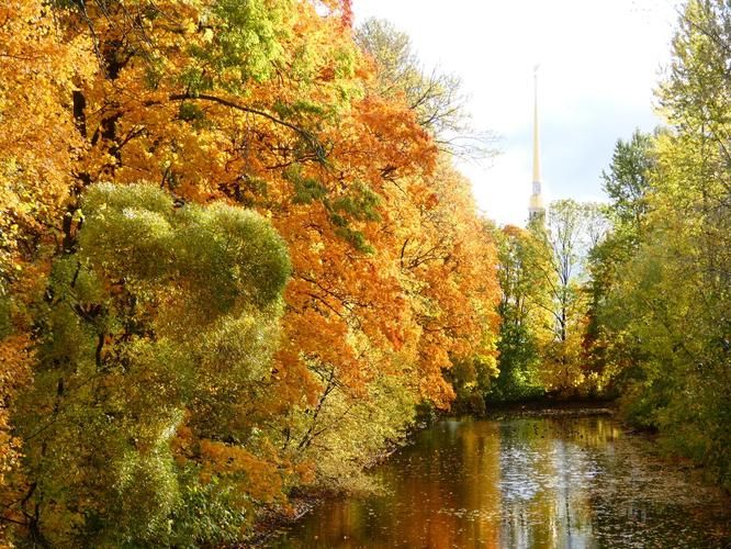 Автобус| Петербургские мотивы: 6 дней вдохновения