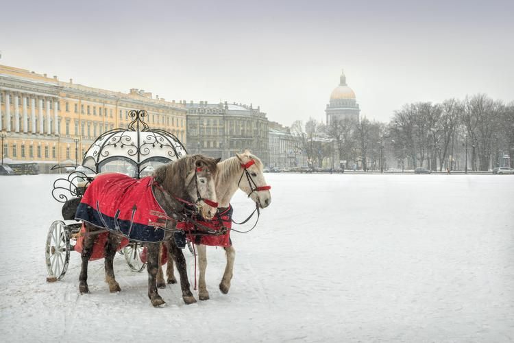 Защитники Родины: праздничный тур по Петербургу