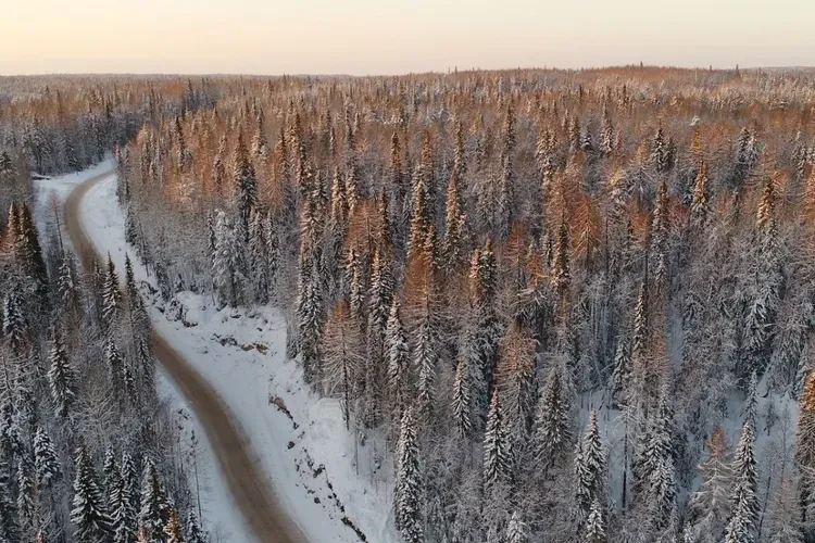 СОЛОВКИ ДЛЯ ТУРИСТОВ ИЗ МОСКВЫ 3 ДНЯ (промо)