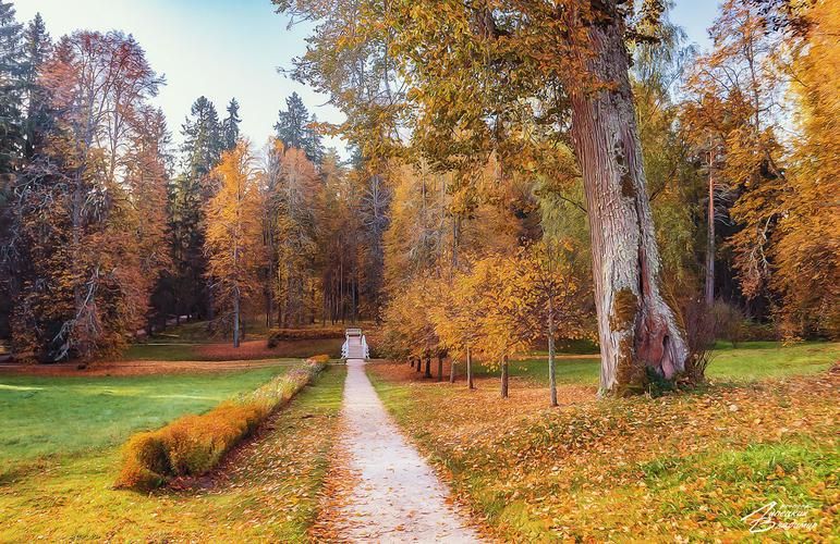 Наследие Куприна и Лермонтова (промо)