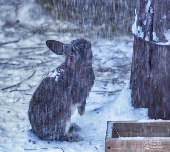 Автобус| Новогодний Кавказ: в гостях у природы, истории и гостеприимства из Пензы
