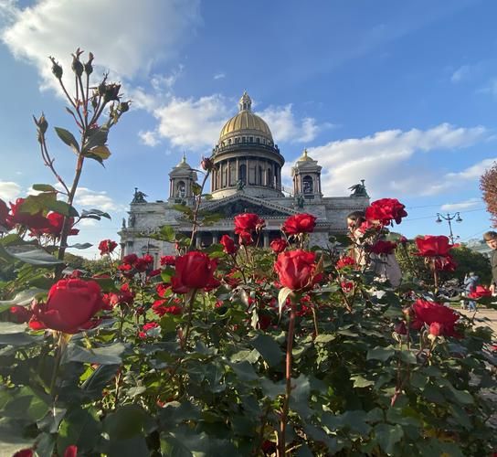 Дух Петербурга: вековые традиции