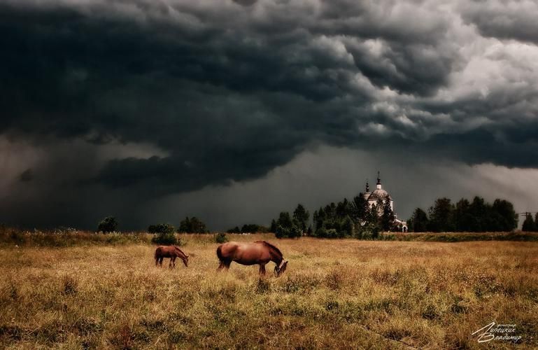 Где корни шепчутся с виноградом, а море переплетает песни народов